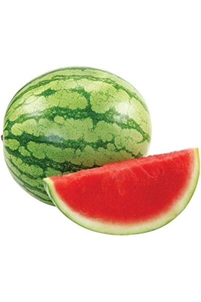 Genel Markalar Dünyam Nadir Thailand Çekirdeksiz Karpuz Tohumu 10 Adet Tohum ...