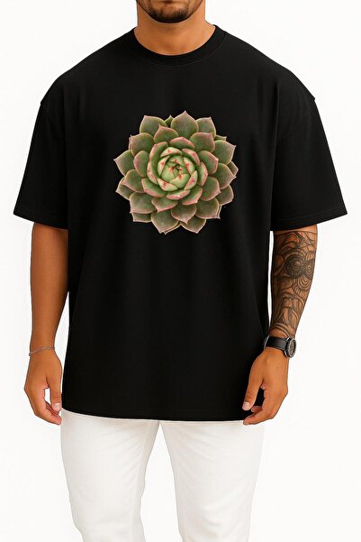 Bahriyeli Collection supradimensionat Echeveria Planta suculentă Cactaceae Ho...