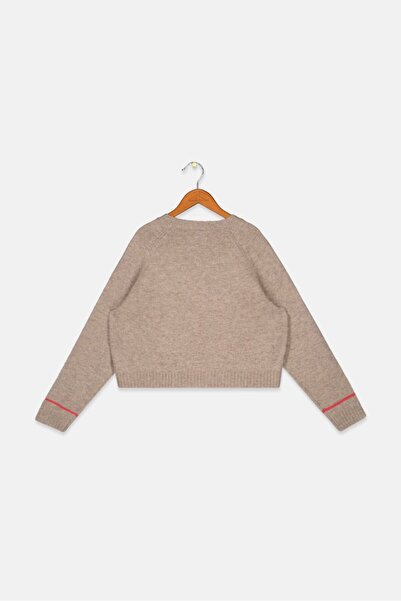 Tchibo Kids Girl Crew Neck Long Sleeve Heather Sweater, Grey