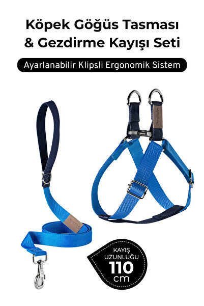 pasiole Adjustable Dog Harness and Walking Leash Set | Handmade, Durable, Convenient to Use