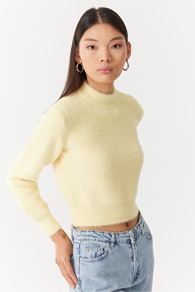 PAULMARK Women's Plush Look Sweater