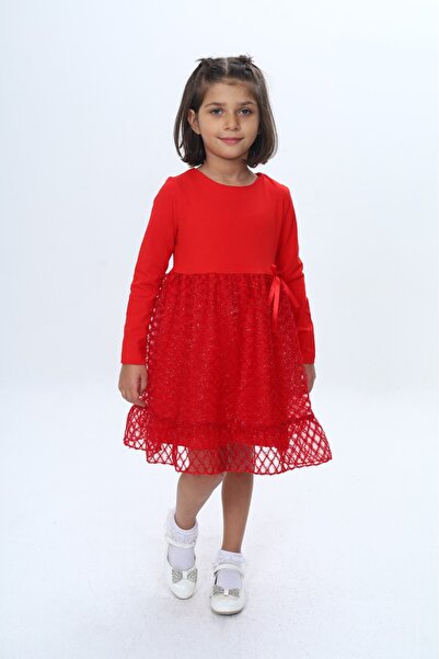 Toontoy Girl's Ruffled Tulle Dress