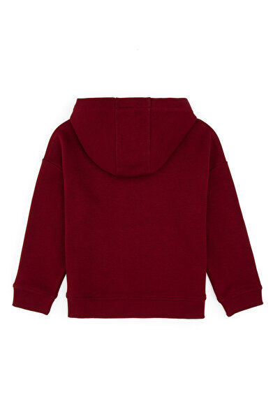 U.S. Polo Assn. Boy's Claret Red Hooded Basic Sweatshirt 50313941-Vr014