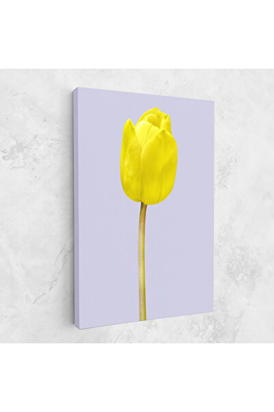 Arthub Canvas Painting, Bedroom And Living Room, Flowers, One Yellow Tulip