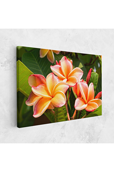 Arthub Tablou Canvas, Dormitor Si Living, Flori, Pretty Plumeria