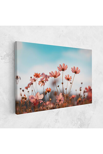 Arthub Tablou Canvas, Dormitor Si Living, Flori, Cosmos Flowers Beautiful