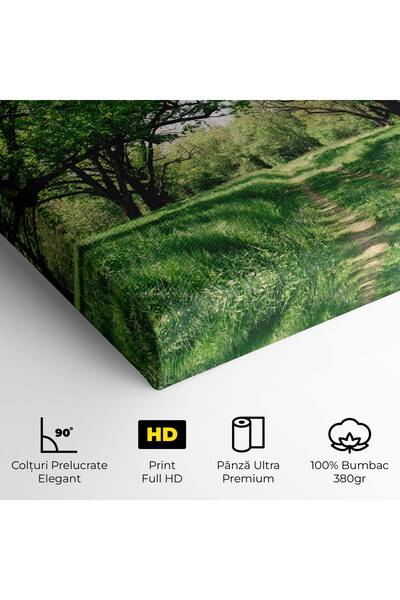 Arthub Canvas Painting, Bedroom And Living Room, Landscapes, Forest Green Path