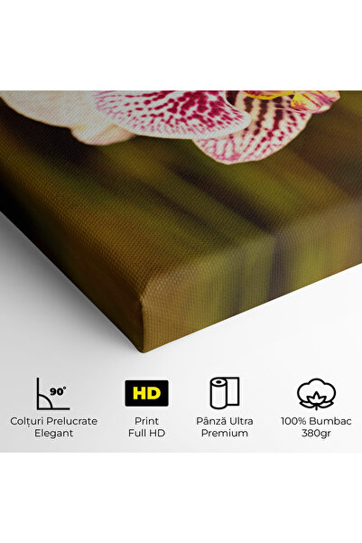 Arthub Canvas Painting, Bedroom And Living Room, Flowers, Garden Orchids