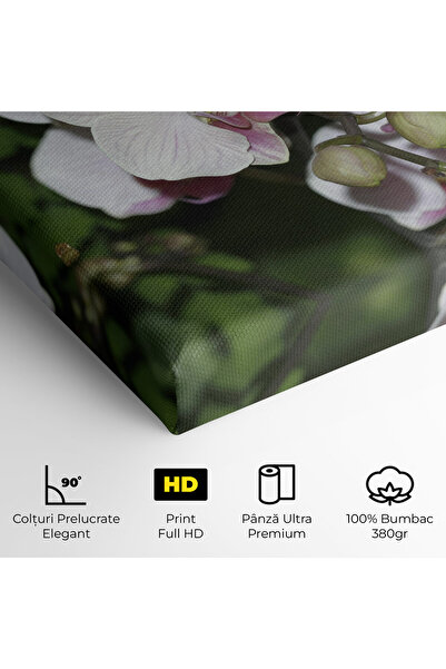 Arthub Canvas Painting, Bedroom And Living Room, Flowers, Orchid Botanical Garden