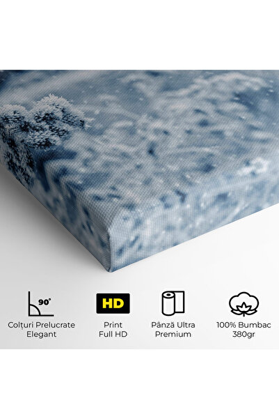 Arthub Canvas Painting, Bedroom And Living Room, Landscapes, Pretty Winter Plants