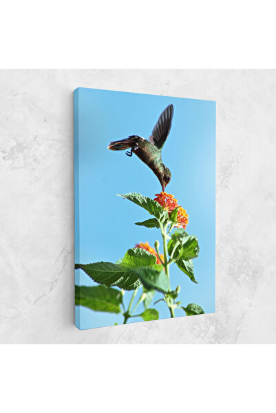 Arthub Canvas Painting, Bedroom And Living Room, Flowers, Bird Exotic Flower