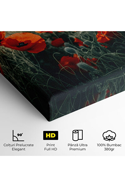 Arthub Canvas Painting, Bedroom And Living Room, Flowers, Poppy Grass Field