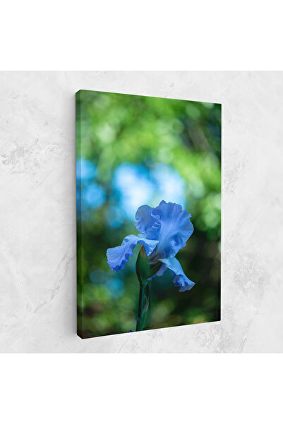 Arthub Canvas Painting, Bedroom And Living Room, Flowers, Blue Iris In The Garden