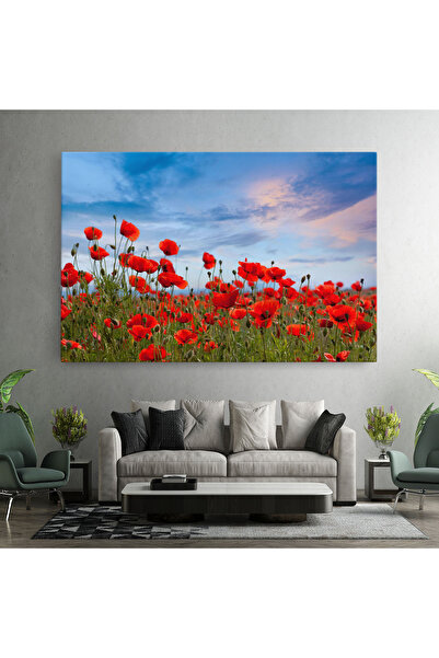 Arthub Canvas Painting, Bedroom And Living Room, Flowers, Poppy Field