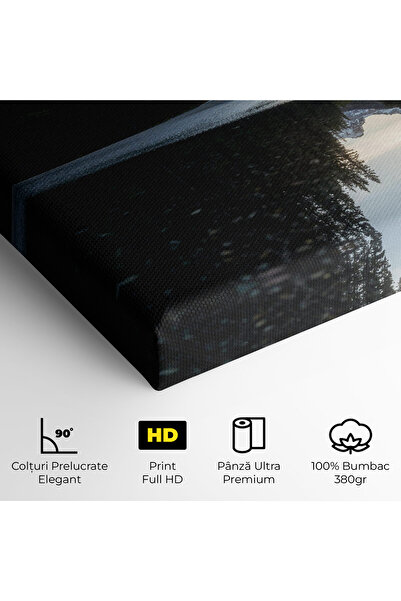 Arthub Canvas Painting, Bedroom And Living Room, Landscapes, Big Lake Forest