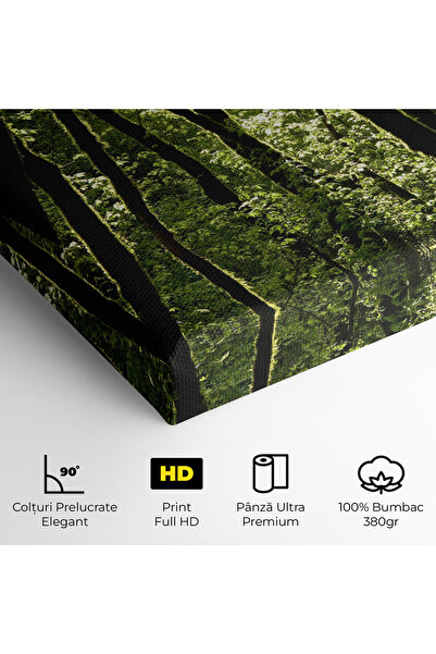 Arthub Canvas Painting, Bedroom And Living Room, Landscapes, Forest Black Trees