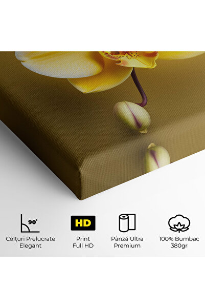 Arthub Canvas Painting, Bedroom And Living Room, Flowers, Pastel Yellow Orchid