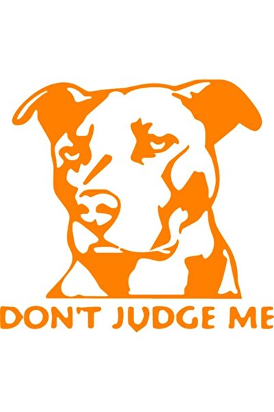 Oracal Decorative car sticker "Don't judge me", 18cm, orange