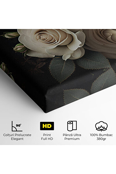 Arthub Canvas Painting, Bedroom And Living Room, Flowers, Cream Roses Close Up
