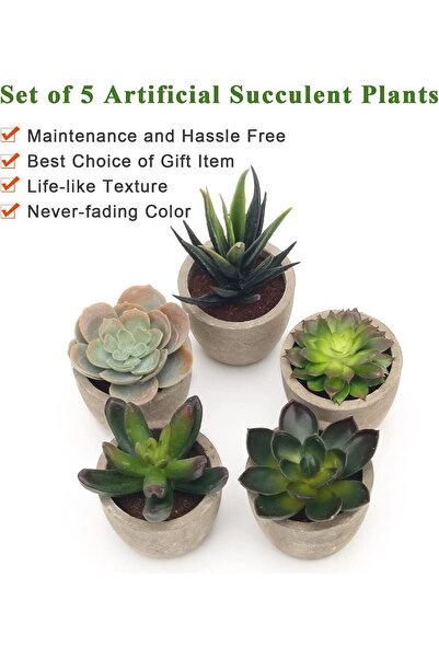 Generic Coitak Decorative Assorted Artificial Succulent Plants in Pot, 5 Pieces, Green