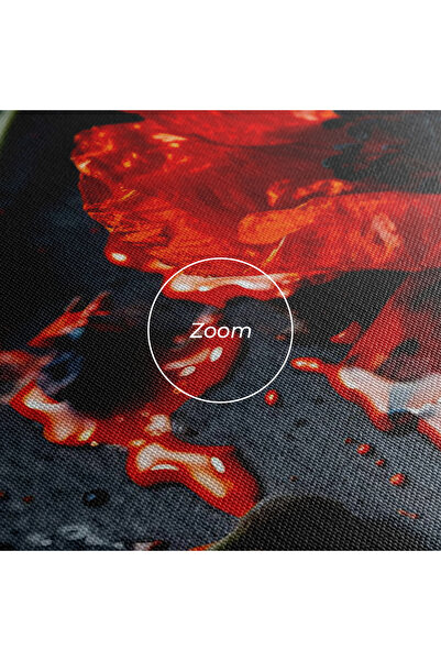 Arthub Canvas Painting, Bedroom And Living Room, Flowers, Beautiful Red Poppy Liquid