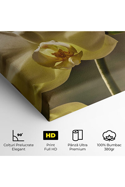 Arthub Canvas Painting, Bedroom And Living Room, Flowers, Pastel Yellow Orchid In Garden