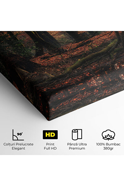 Arthub Canvas Painting, Bedroom And Living Room, Landscapes, Autumn Forest Trees