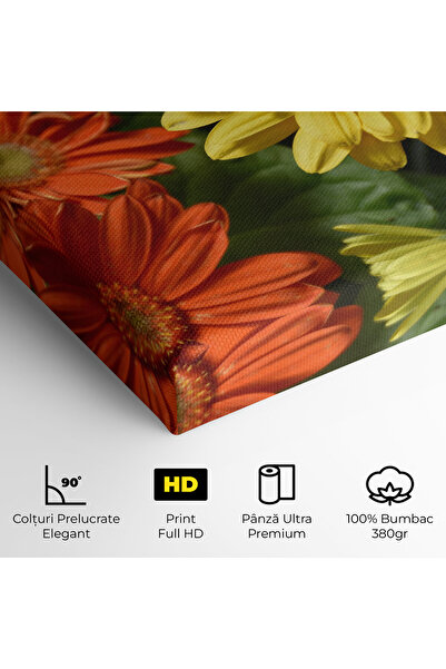 Arthub Canvas Painting, Bedroom And Living Room, Flowers, Orange Yellow Daisy