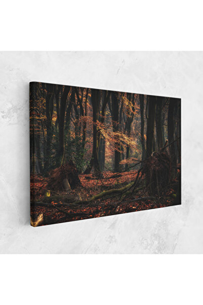 Arthub Canvas Painting, Bedroom And Living Room, Landscapes, Autumn Forest Trees