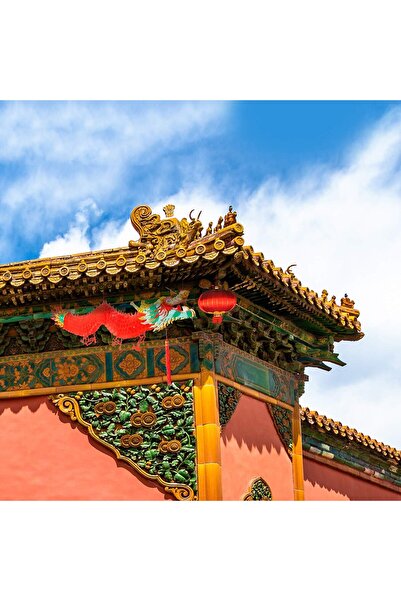 Bememo 3D Hanging Chinese New Year Dragon Decoration (1.8 m)