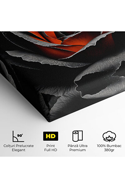 Arthub Canvas Painting, Bedroom And Living Room, Flowers, Grey Orange Rose