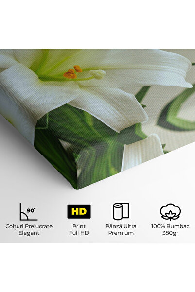Arthub Canvas Painting, Bedroom And Living Room, Flowers, Green Lily