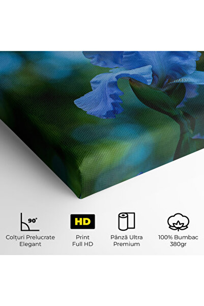 Arthub Canvas Painting, Bedroom And Living Room, Flowers, Blue Iris In The Garden