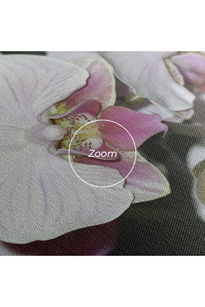 Arthub Canvas Painting, Bedroom And Living Room, Flowers, Orchid Botanical Garden