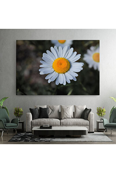 Arthub Canvas Painting, Bedroom And Living Room, Flowers, Strong Yellow Daisy