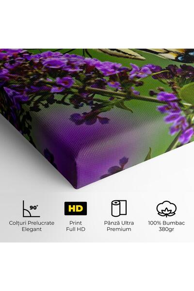 Arthub Canvas Painting, Bedroom And Living Room, Flowers, Cream Wild Butterfly