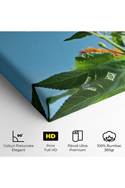 Arthub Canvas Painting, Bedroom And Living Room, Flowers, Bird Exotic Flower