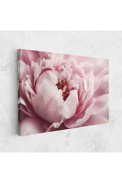 Arthub Tablou Canvas, Dormitor Si Living, Flori, Pastel Peony Petals
