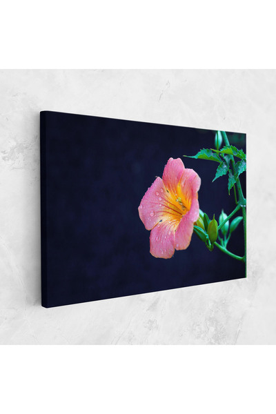 Arthub Tablou Canvas, Dormitor Si Living, Flori, Exotic Pink Plant