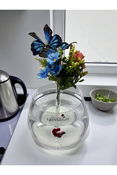 ASKVARIUM Hem Vazo Hem Akvaryum Beta ve Japon Balıklarına Özel Çiçekler Dahil...