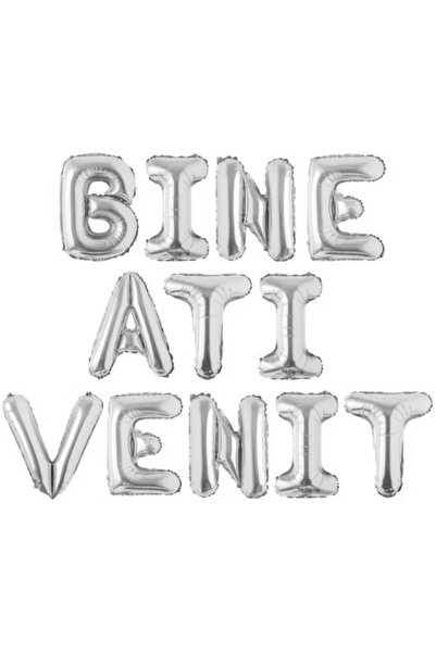 SDEPOT Set baloane folie, argintii, cu mesaj de bun venit, 45 cm