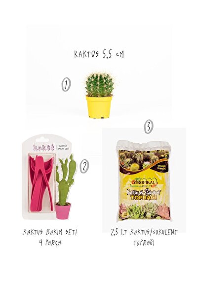 gardenkoala 3'Lü Set - Kaktüs 5,5 cm - Kaktüs Bakım Seti 4 Parça - Kaktüs/Suk...