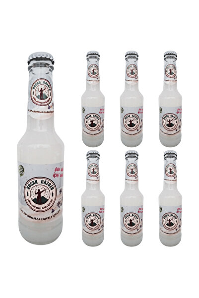 BUCAK GAZOZU BUCAK SALEP AROMALI GAZOZ 250 ML 6 ADET