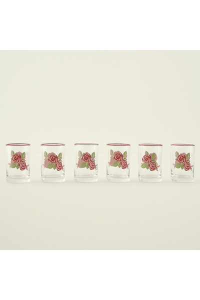 Bella Maison Rose 6-Pack Coffee Side Water Glasses (100 Cc)