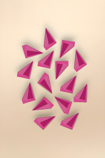 Wallibex Poem Magenta 15'li Set Duvar Aksesuarı