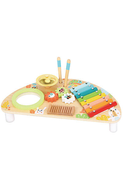 Tooky Toy Multifunctional Music Center