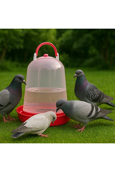 mastergold وعاء بلاستيكي شفاف لسقاية الطيور بسعة 6 لترات مع قاعدة متينة (أحمر، 6 لترات)