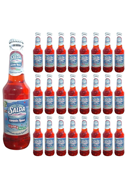 SALDA LAVANTA TEPESİ VİŞNE&NANE AROMALI GAZOZ 250 ML X 24 ADET