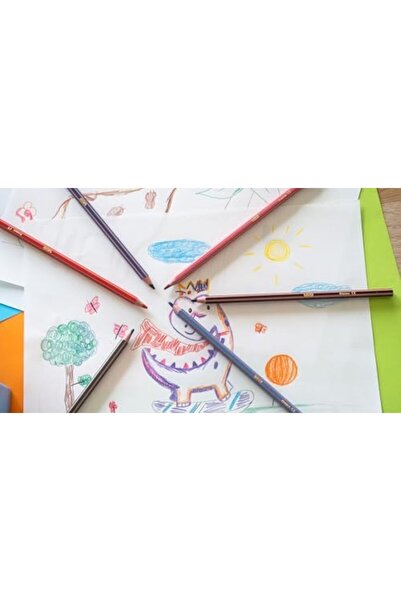 Yıldızan lv Kids Evolution Stripes Kuru Boya Kalemi, 24'lü Kutu, Kıymık Oluşt...