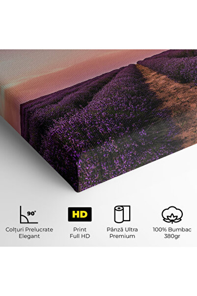 Arthub Canvas Painting, Bedroom And Living Room, Landscapes, Lavender Field